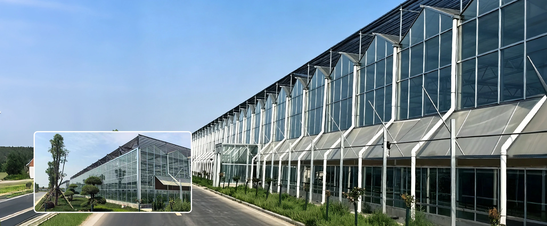 Fábrica de estufas multi-span na China