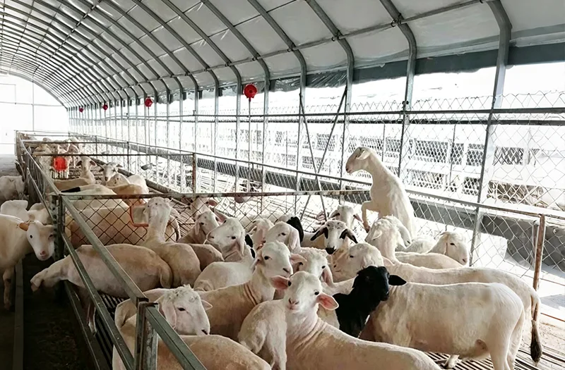 O que deve ser considerado ao selecionar estufas pecuárias para projetos agrícolas?