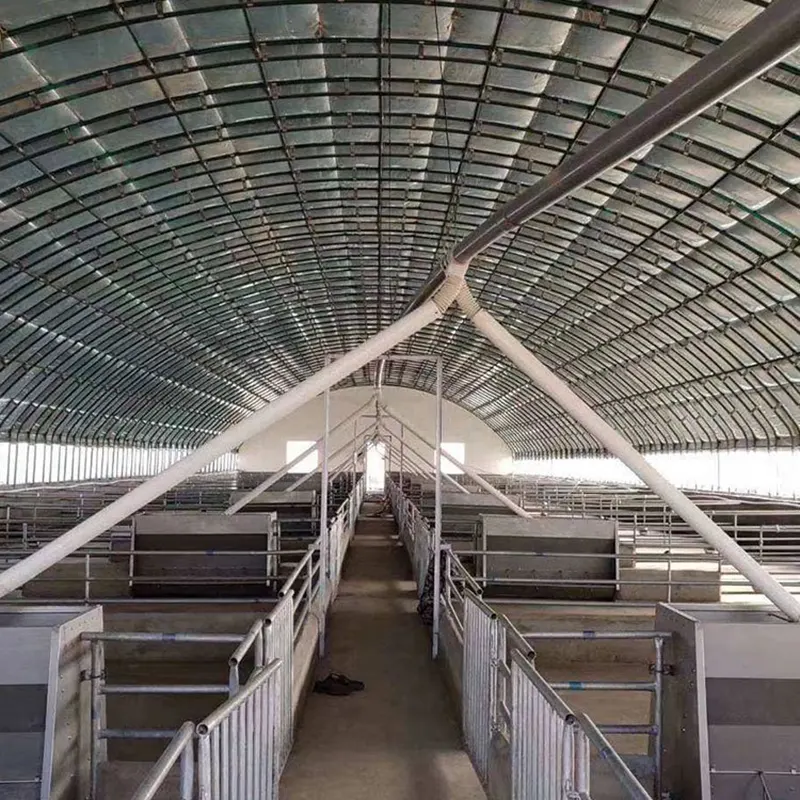 Galpão de criação de vacas leiteiras