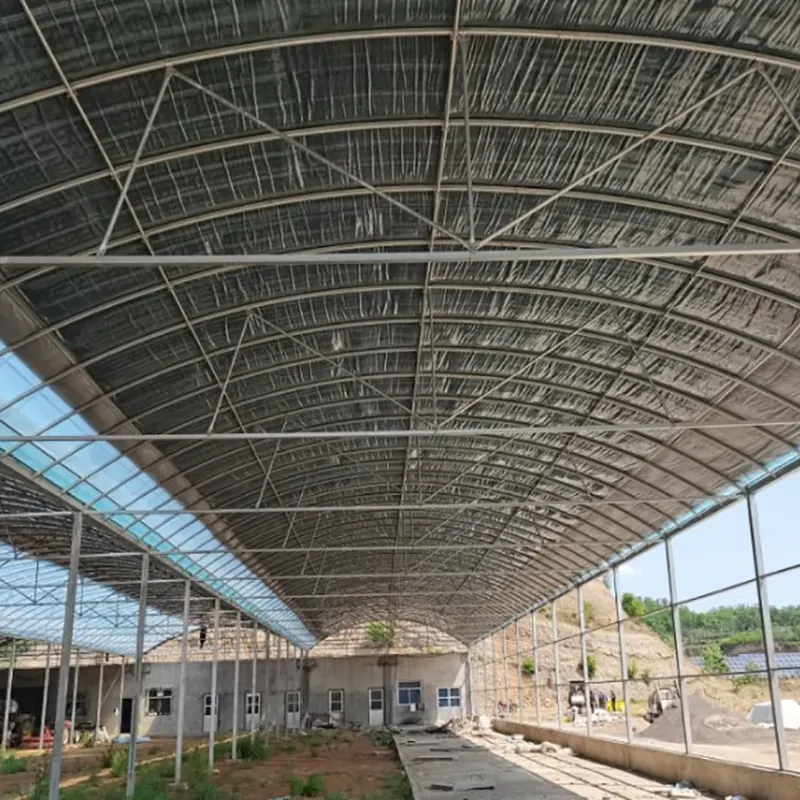 Large-Scale Livestock Breeding Shed