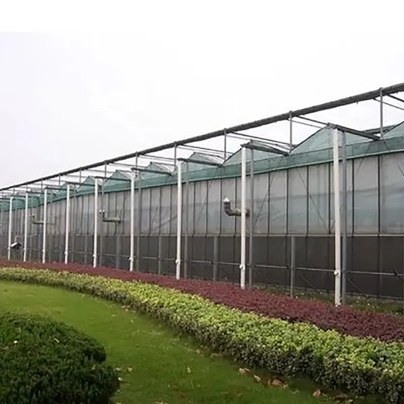 Double-Slope Venlo-Type Multi-Span Greenhouse