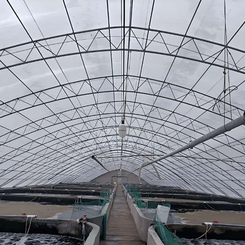 Shrimp Breeding Shed