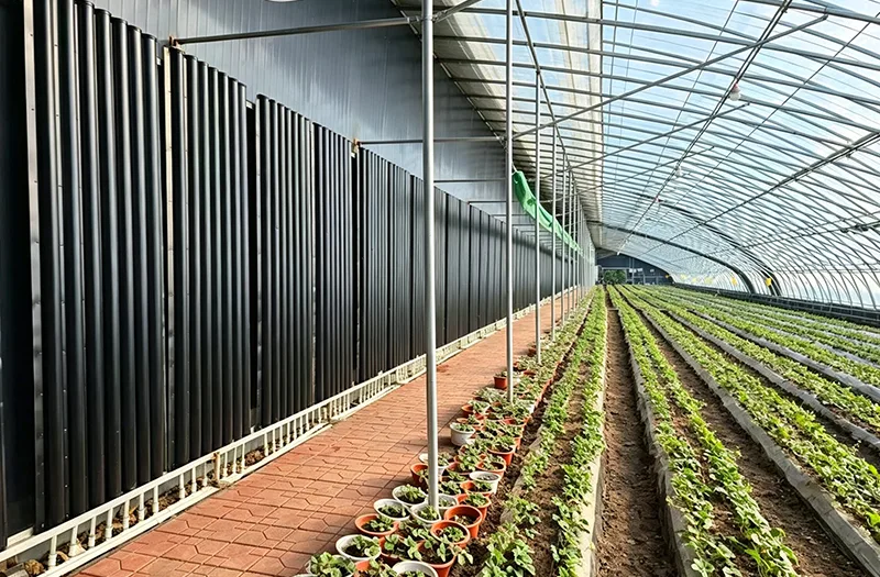 Solar Greenhouses