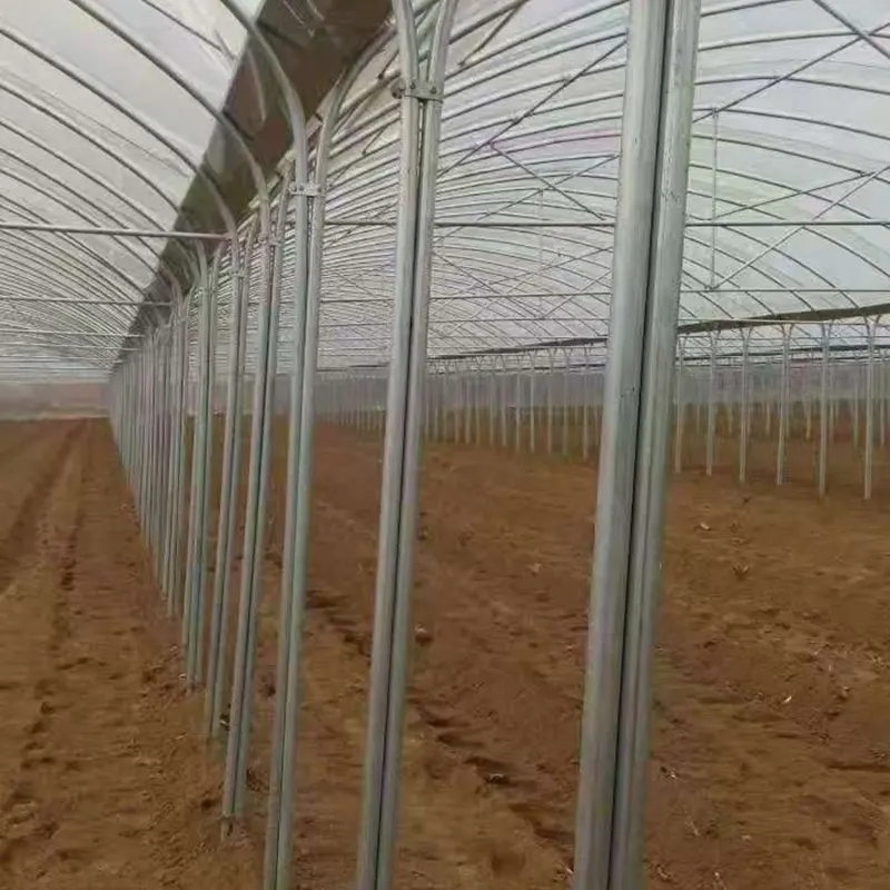 Estufa simples de múltiplos vãos com arco redondo e pernas juntas