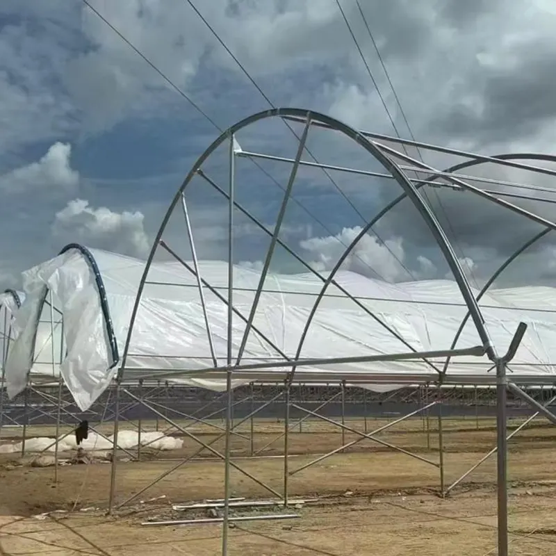 Estufa Multi-Span de Arco Redondo de Vão Médio