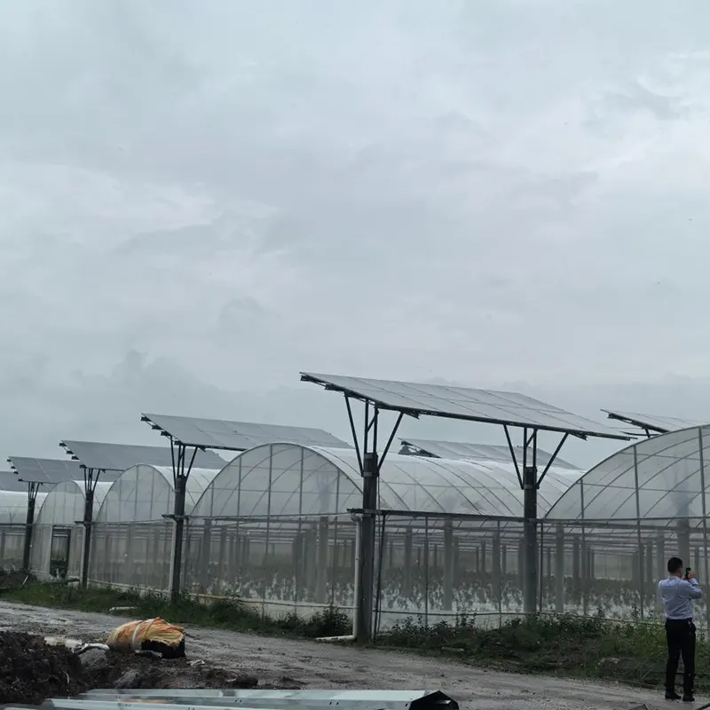 Estufa Multi-Span com Telhado Fotovoltaico