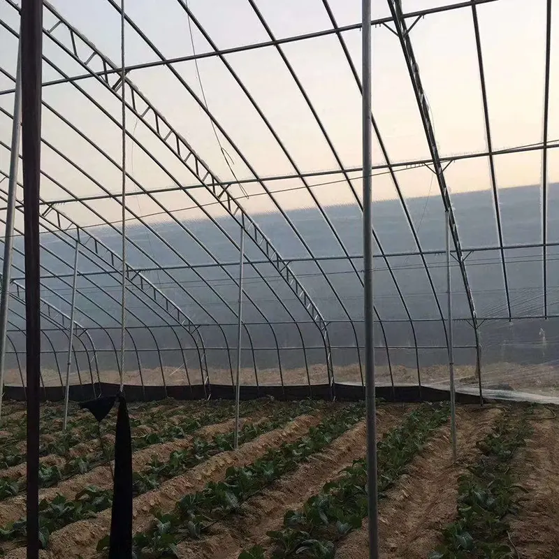 Estufa solar pré-fabricada totalmente em aço de inclinação única