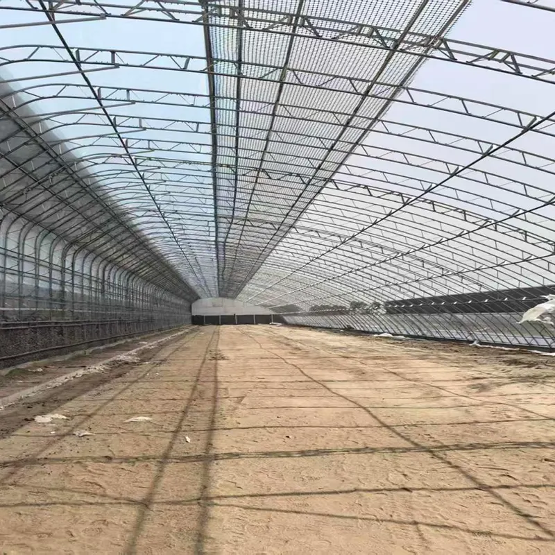 Estufa solar pré-fabricada com estrutura de aço duplo