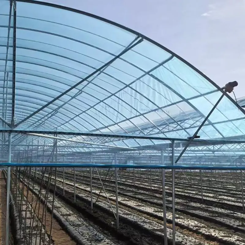 Estufa Simples Multi-Span de Arco Redondo