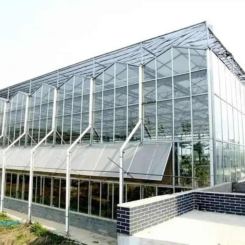 Estufa multi-span tipo dente de serra com claraboia