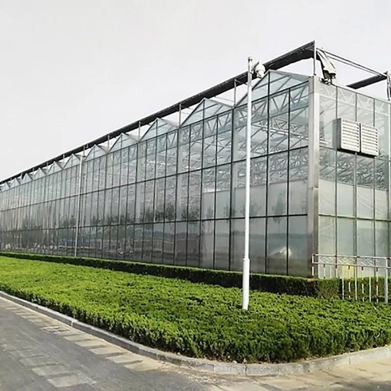 Estufa Multi-Span para Cultivo de Mudas