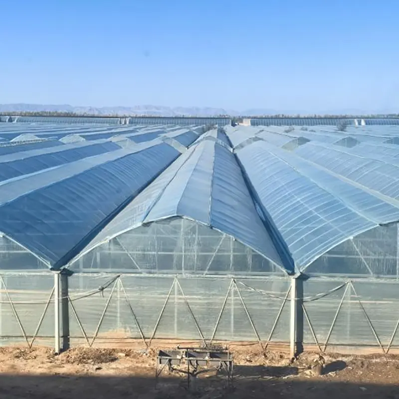 Estufa multi-span de filme de camada única