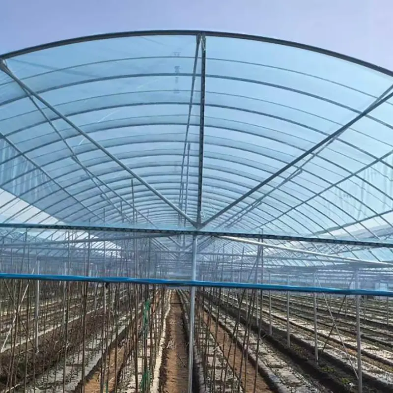 Estufa multi-span de arco redondo de pequeno vão